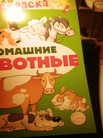 Набор детских книг РЕЧЕВЫЕ РАСКРАСКИ | Танцюра Снежана Юрьевна #6, Вероника Я.