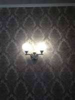 Лампочки светодиодные ЭРА STD LED JCD-5W-CER-840-G9 G9 6 Вт керамика капсула нейтральный белый свет набор 10 штук #8, Владислав Г.