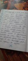 Пишем без ошибок. Нейропсихологический тренажёр: для начальной школы #1, Ольга Ч.