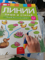 Пиши и стирай Линии: тетрадь для письма маркером для детей 3-4-5 лет #2, Аделина Л.