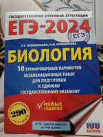 ЕГЭ-2024. Биология (60x84/8). 10 тренировочных вариантов экзаменационных работ для подготовки к единому государственному экзамену | Прилежаева Лариса Георгиевна, Ковшикова Ольга Ивановна #4, Екатерина К.