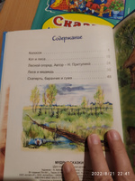 Комплект из 4 сборников сказок для детей от 3 лет. Сказки про зверят. | Русские народные сказки, Грибачев Н. #5, Анна