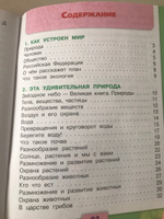 Окружающий мир. Тесты. 3 класс (Школа России) | Плешаков Андрей Анатольевич, Назарова Зоя Дмитриевна #3, Ковалева В.