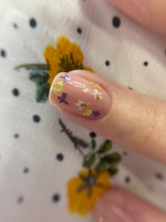 Сухоцветы для дизайна ногтей D 1-2 см. + пластиковый кейс, 36 шт. соцветий, набор 12 расцветок. #115, Елизавета Б.