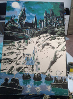 Картина по номерам Z-630 "Гарри Поттер. Хогвартс" 40x60 #34, Алёна К.
