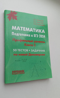 Мальцев Д.А. Математика. Подготовка к ЕГЭ 2025. Профильный уровень. 56 тестов + задачник. Книга 2 | Мальцев Дмитрий Александрович #5, Малика А.