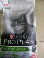 Сухой корм Pro Plan Sterilised для стерилизованных кошек и котов, с лососем, 10 кг #52, Ольга М.
