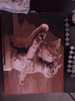 Картина по номерам на холсте 40х50 см "Кошачий Титаник" / картина по номерам на подрамнике #131, Анастасия К.
