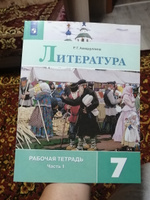 Литература. Рабочая тетрадь. 7 класс. Часть 1 | Ахмадуллина Роза Габдулловна #3, Татьяна Д.