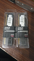 AMD Оперативная память Radeon R5 Entertainment Series DDR3L 1600 Мгц 1x8 ГБ (R538G1601U2SL-U) #8, Денис Ф.