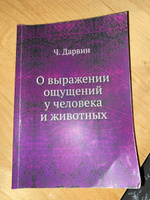 О выражении ощущений у человека и животных #2, Анна К.