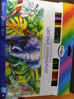 Набор цветных карандашей для рисования Гамма "Классические", 36 цветов, заточен., картон. упаковка, европодвес #185, Айса С.