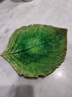 Тарелка COSTA NOVA Riviera, 17 см, керамическая, зеленая (VEP171-00816L) #3, Анастасия