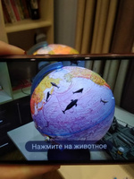 Globen Интерактивный глобус Земли физико-политический рельефный с LED-подсветкой, диаметр 25 см. + VR очки #53, Юлия А.