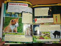 Энциклопедия для детей Кошки и котята Умка | Хомякова К. #13, Алена Б.