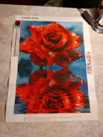 Алмазная мозаика " Алая роза на воде" , холст 40х30 см  полная выкладка #58, Ольга А.