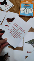 Карточки для малышей развивающие от 0+ "Птицы" (Обучающие логопедические карточки Домана для детей) 30 шт. #50, Алена Х.