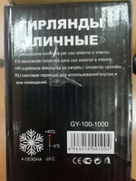 Новогодняя гирлянда на елку, на окно, уличная 100м. 1000led с мерцанием Разноцветный/ Уличная гирлянда #8, Наталья Х.