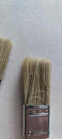 Набор кистей ЛОМ, натуральная щетина, деревянная ручка, 1-1.5-2", 25-38-50 мм #8, Светлана Ю.