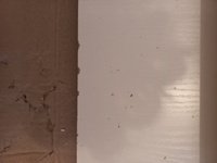 Кухонный модуль навесной шкаф Сурская мебель Прага угловой с 1 створкой 59,2х71,6х59,2 см, 1 шт. #54, Филиппова Юлия