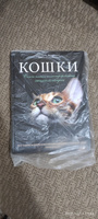 Кошки. Самая полная иллюстрированная энциклопедия | Дудникова Светлана Сергеевна, Есауленко Ольга Валерьевна #8, Юлия К.