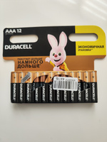 Батарейки щелочные (алкалиновые) Duracell Basic ААA LR03-MN2400, 1,5В, 12шт (мизинчиковые) #7, Светлана М.