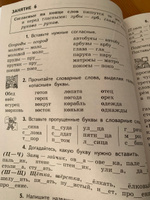 К пятерке шаг за шагом, или 50 занятий с репетитором. Русский язык 2-4 классы | Ахременкова Людмила Анатольевна #3, Агата Д.