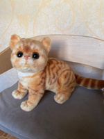 Мягкая игрушка кот котенок плюшевый котик реалистичный #8, Ольга