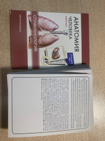 Анатомия человека. Спланхнология. Учебное пособие (набор из 49 карточек) | Сапин Михаил Романович, Николенко Владимир Николаевич #17, Сауле А.