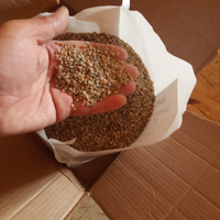 Кварцевый песок (гравий) для систем фильтрации. Кварц зернистый 2-5 мм (7 кг) #6, Эдуард Р.