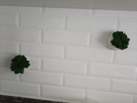 Набор настенных декоративных кашпо 10 см 5 шт белого цвета со стабилизированным мхом на стену интерьерное сухоцветы #43, Анна С.