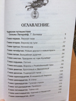 Лагерлёф С. Чудесное путешествие Нильса с дикими гусями. Сказка Приключения Внеклассное чтение 1-5 классы | Лагерлеф Сельма #6, Ольга П.