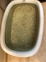 Наполнитель кукурузный для кошачьего туалета Homecat, комкующийся, зеленый чай 6 л 1 шт #179, Юлия Эренбург