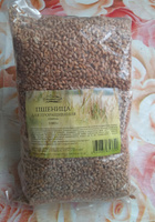 Пшеница для проращивания и приготовления витграсса С Алтайских полей, 1000 гр. #2, елена т.