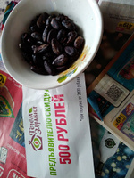 Какао бобы натуральные сорт Форастеро 0,5 кг #4, Вера М.