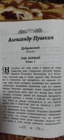 Хрестоматия по чтению: 6 класс. Без сокращений #3, Марина Д.