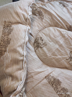 РА-Текс Одеяло 2-x спальный 172x205 см, Зимнее, с наполнителем Верблюжья шерсть, комплект из 1 шт #32, Татьяна С.