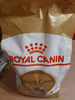 Royal Canin Maine Coon Adult (Роял Канин Эдалт со вкусом птицы) корм для взрослой кошки породы Мэйн Кун 2 кг #22, М. В.