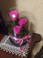 Роза в колбе живая, вечная, стабилизированная "Тройная PR" 32см, подарок маме, женщине, на 8 марта , на день рождения, Цвет: Малина #8, Александр Л.