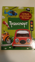 Транспорт. Первая энциклопедия малыша. Познавательная книга с заданиями для детей от 3 лет про машины, поезда, самолеты и другую технику | Попова Л. А. #4, Анастасия К.