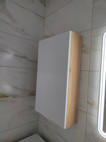 Шкаф навесной для ванной, 40х14х75 см, Клэо, Универсальный #31, Олеся О.