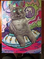Картина по номерам на холсте на подрамнике 40х50 "Кот из мемасиков" #119, Светлана Д.