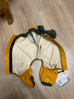 Комбинезон для собак мелких пород, демисезонная одежда для животных, дождевик водоотталкивающий ветронепродуваемый #30, Анна К.