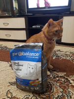 Корм сухой Probalance Sterilized для стерилизованных кошек и кастрированных котов, с курицей, 1,8 кг #59, Анна К.