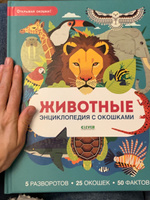 Животные. Энциклопедия с окошками / Книга с окошками, книжки-картонки, виммельбух, детские книги | Петти Уильям #5, Анастасия О.