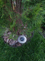 Фонарь садовый на солнечных батареях ForAll 8 Led/Комплект садовый фонарь 2 шт #78, Екатерина Л.