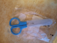 Ножницы канцелярские 13 см, в пластиковом в футляре, закругленные концы, 1 штука #3, Анна Г.