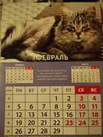 Календарь настенный перекидной на 2024 год (290*210) #8, Людмила С.