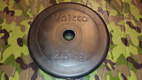 Диск пластиковый Voitto 2,5 кг #3, Александр В.