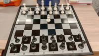Набор игр 3 в 1 (магнитные шашки, шахматы и нарды) / дорожные шахматы магнитные / 32х32см, пластик, металл, SC58810 #1, Светлана С.